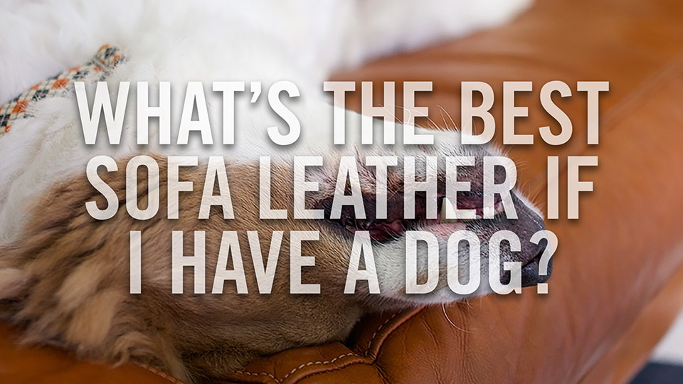 What's the best type of leather for my sofa if I have a dog?