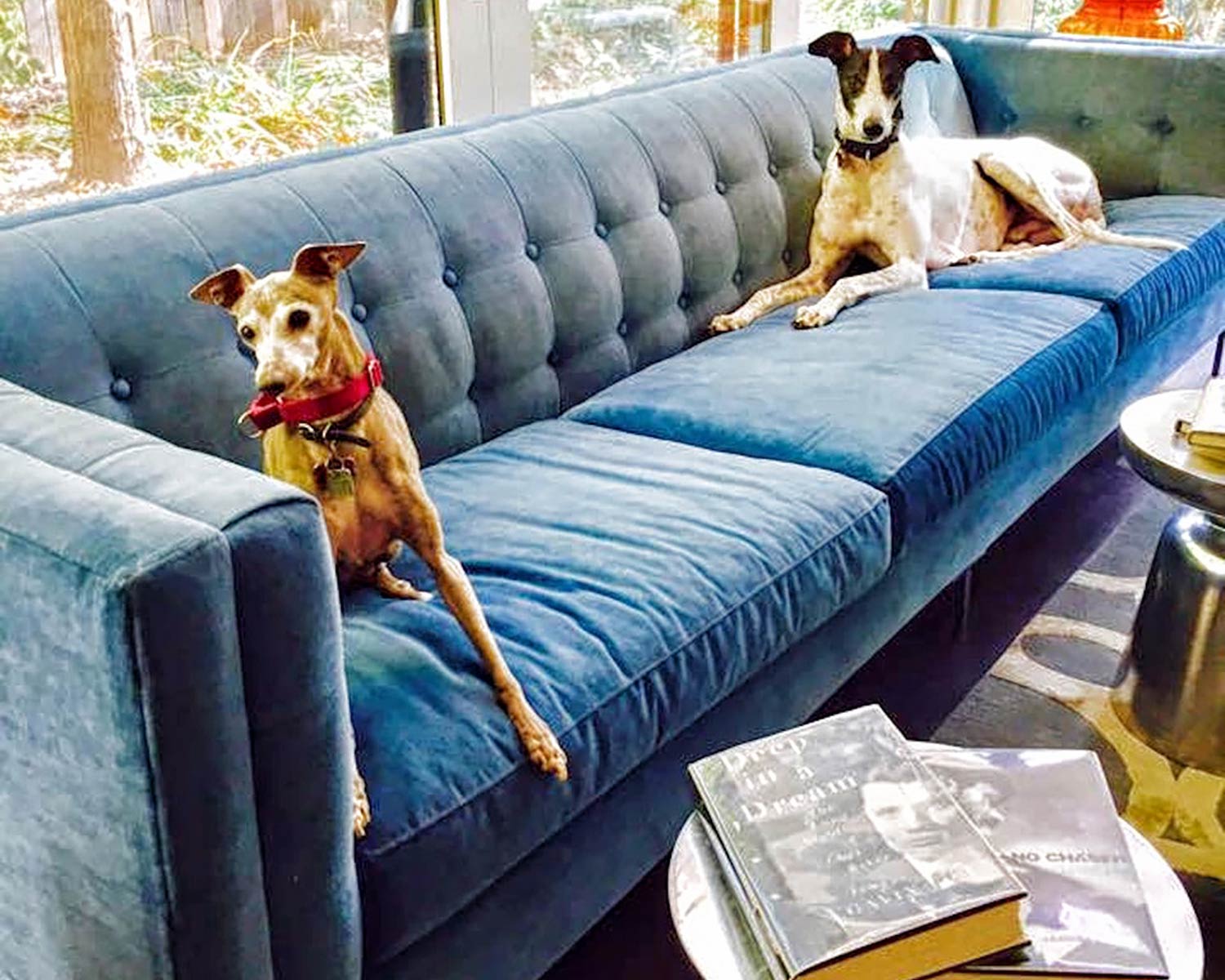 Atticus sofa in blue velvet