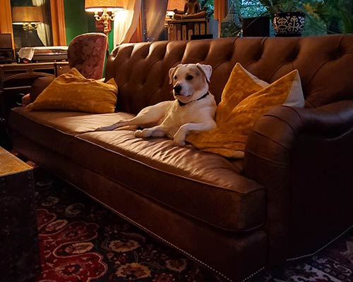 Customer image: Alfie sofa with Boe