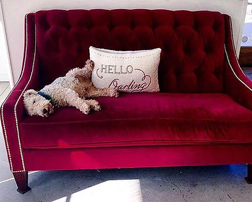 Customer image: Lincoln tufted slope arm sofa in red velvet