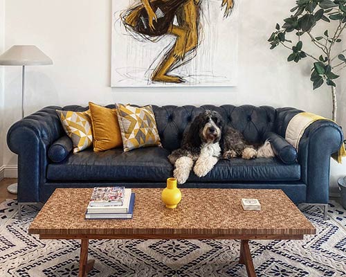Customer image: Eliza modern Chesterfield sofa in Everlast Blue Guard leather