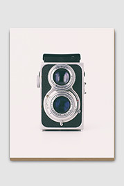 Ricoh Ricohflex VIIs Antique Camera Plywood Print