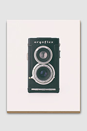 Argus Argoflex EF Antique Camera (Front) Plywood Print
