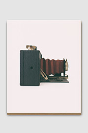 Kodak No. 2A Folding Pocket Brownie Antique Camera (Side) Plywood Print