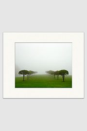 Foggy Field Print
