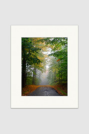 Seasonal Road Autumn Print