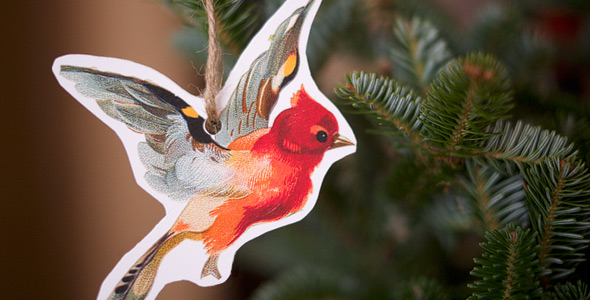 Bird ornament