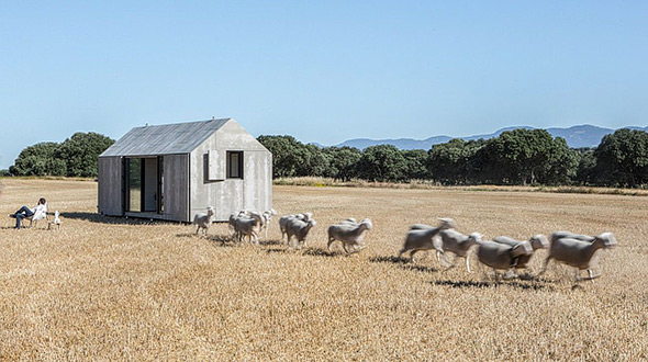 Exterior of the tiny home APH80 Transportable House