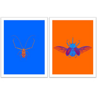 Bug Prints