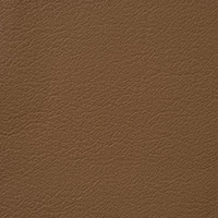 Camel 2491