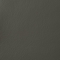 Dusty Sage 3020