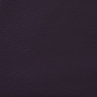 Plum 6430