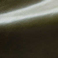 Oliva