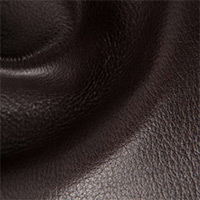Carbon