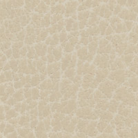 Navajo Ivory