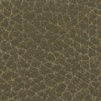 Prairie