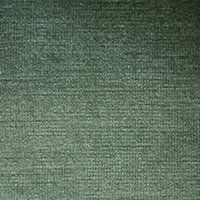 Eucalyptus