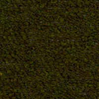 Moss