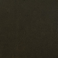 Conifer 3050