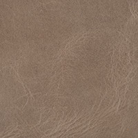 Duster 1620