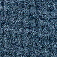 Carolina Blue