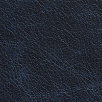 Blue Guard
