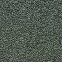 Jade Green 5673