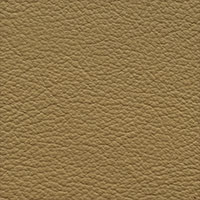 Khaki 8975