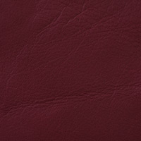 Lipstick 4505