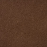 Saddle 2488
