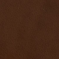 Bark 2731