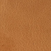 Beige 2871