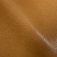 Beige 2872