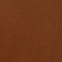 Cognac 2488