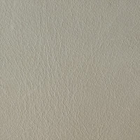 Parchment 9171