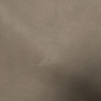 Taupe 1011