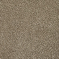 Desert Dust