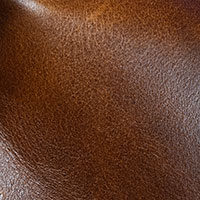 Nutmeg 2550