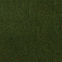 Grass