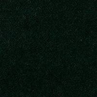 Loden