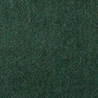 Spearmint