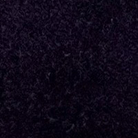 Aubergine