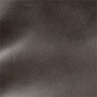 Shadow Dancer