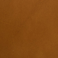 Cumin 2864