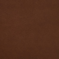 Nutmeg 2495