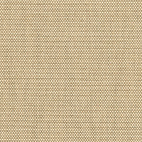 Sahara