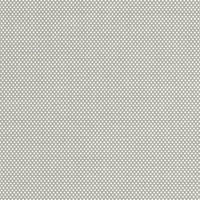 Seagull