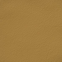 Mustard 8410