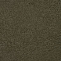 Olive 7244