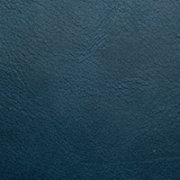 Inspired Blue